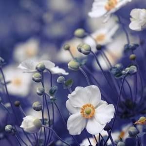 Meet your Posher, Jack